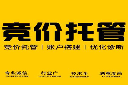 行业领先企业的SEM推广策略揭秘